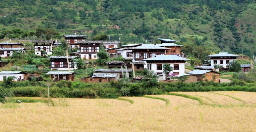 Yong Wang's Rise From Village to Data Visionary