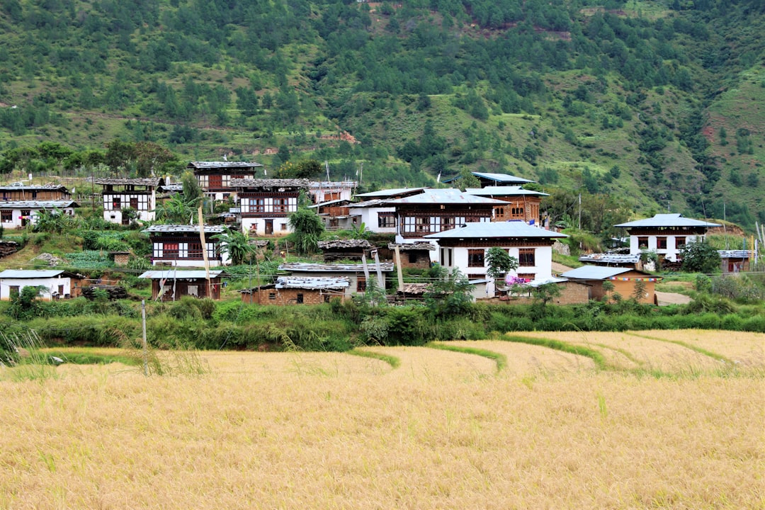 Yong Wang's Rise From Village to Data Visionary