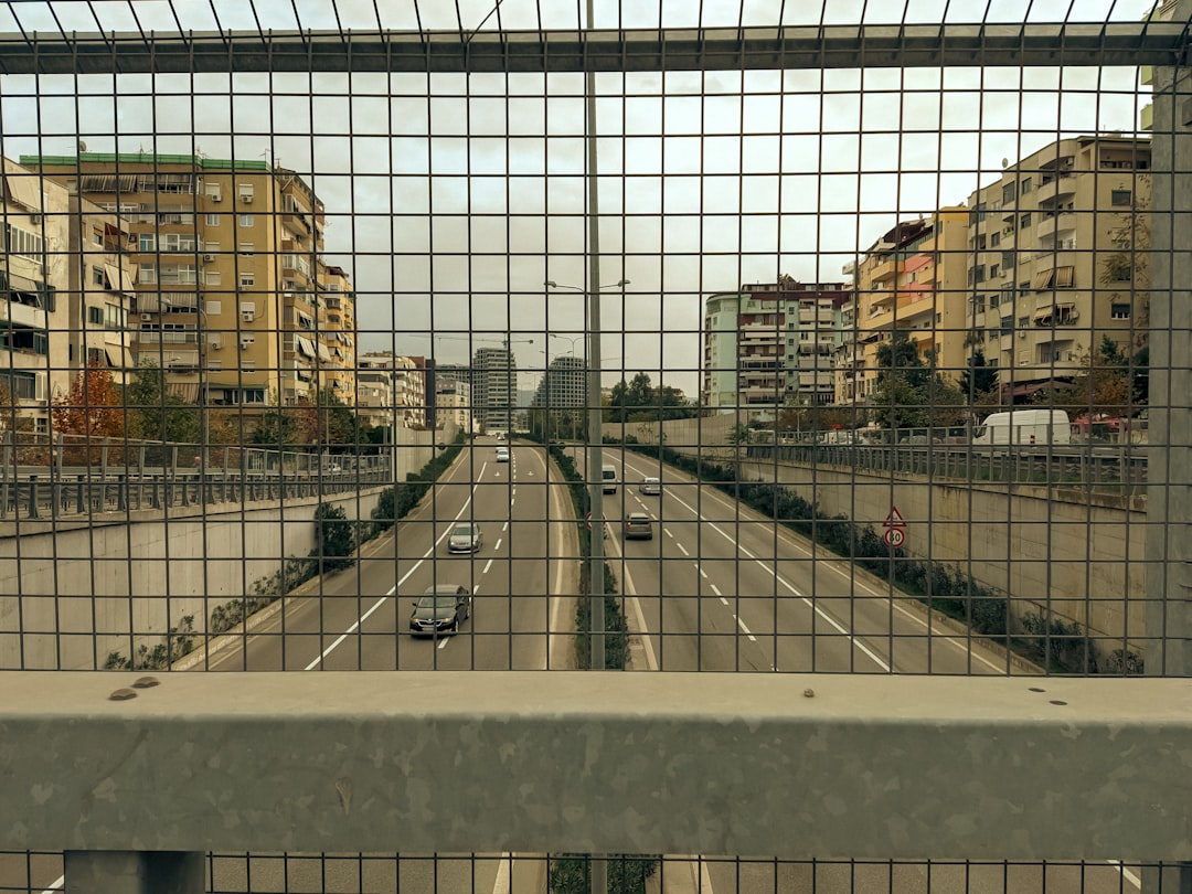 LPDA-Fed Reflectors Get Real-World Simulation