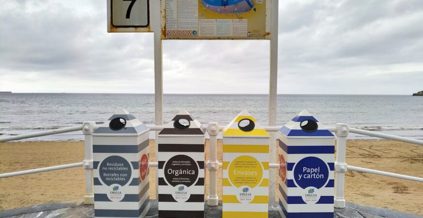 Litter-Robot Lineup Tested: Which One Wins?