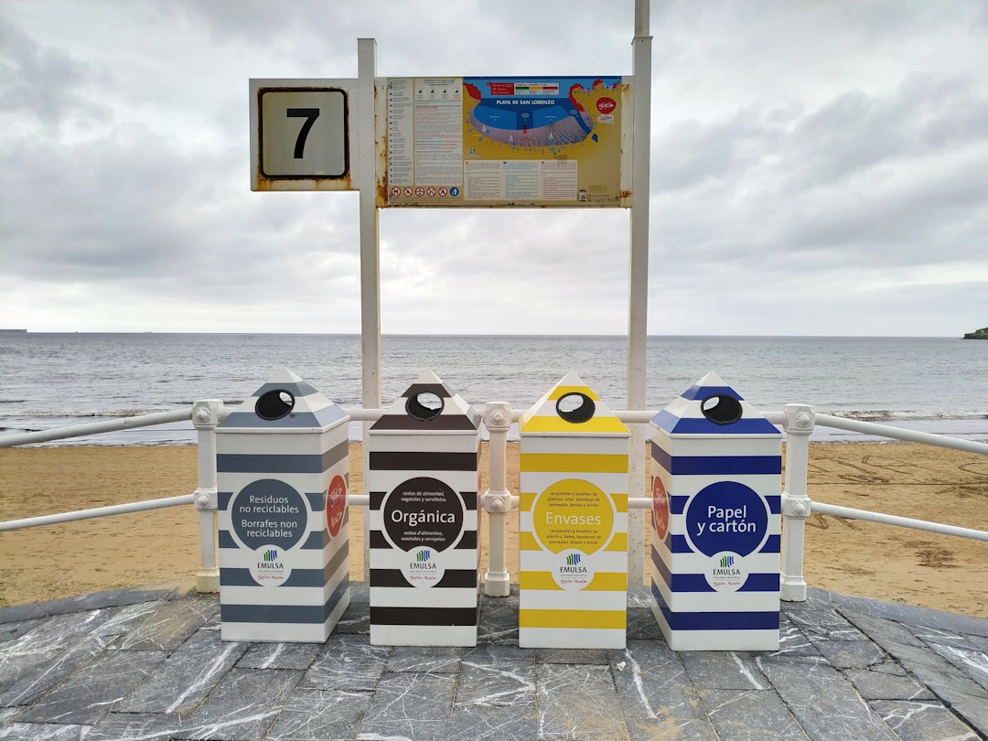 Litter-Robot Lineup Tested: Which One Wins?