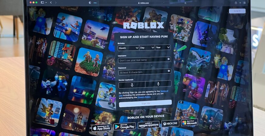 610,000 Roblox Accounts Hijacked in Cybercrime Ring