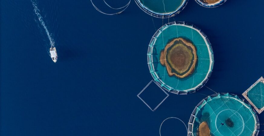 Orpheus Submersibles Could Reshape Deep-Sea Exploration