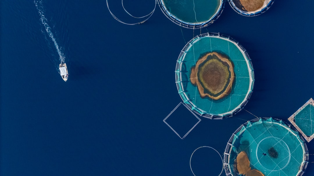 Orpheus Submersibles Could Reshape Deep-Sea Exploration