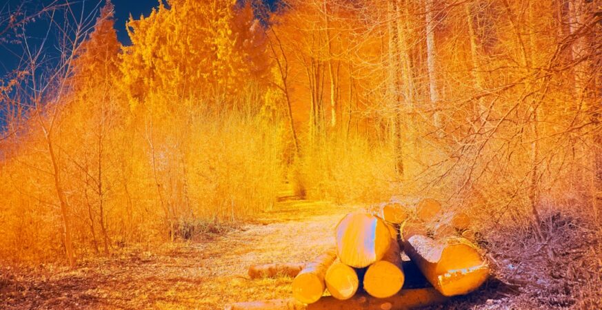 AI Warmth Increases Errors, Study Finds