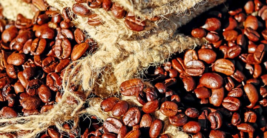 Coffee's Hidden Microbiome Impact Revealed