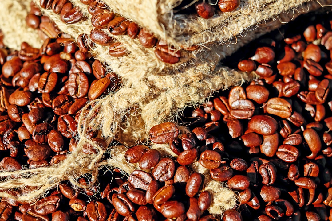 Coffee's Hidden Microbiome Impact Revealed