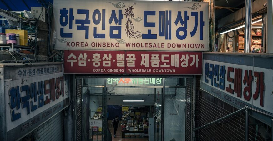 A Robot Without a Memory in Reunified Korea