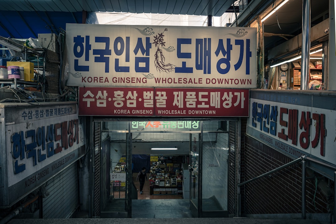 A Robot Without a Memory in Reunified Korea