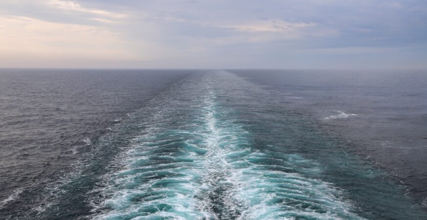HVDC Submarine Cable EM Fields: Simulation Overcomes Measurement Limitations