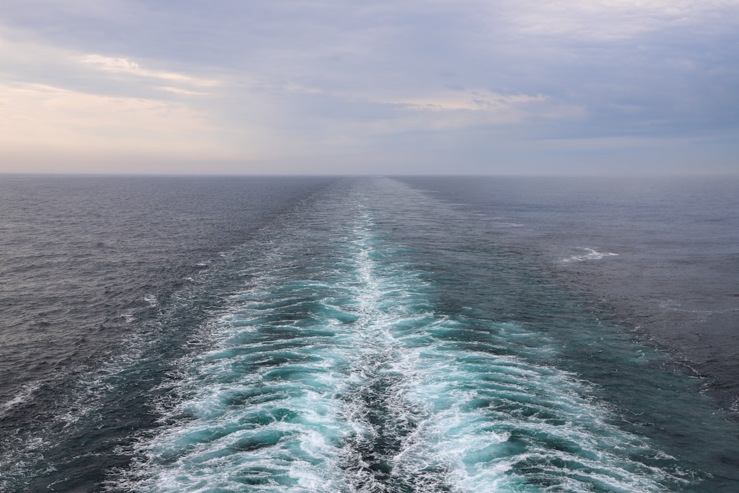 HVDC Submarine Cable EM Fields: Simulation Overcomes Measurement Limitations