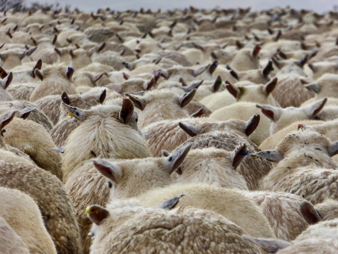 Herd Security Raises $3 Million for AI-Powered Training Platform