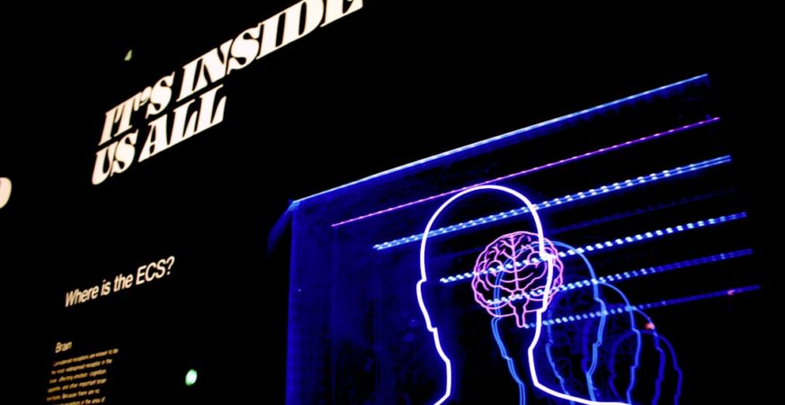 NHS Hides Publicly Funded Software Over AI Hacking Fears