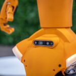 Enter Bob, IBM’s Friendly AI Coding Assistant