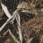 CIFSwitch vulnerability grants root on Linux distros