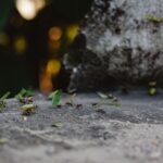 Velvet Ant’s Decade‑Long Authentication Hijack of Air‑Gapped Network