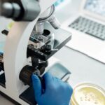 Life Unearthed shows microscope tech reshapes nature