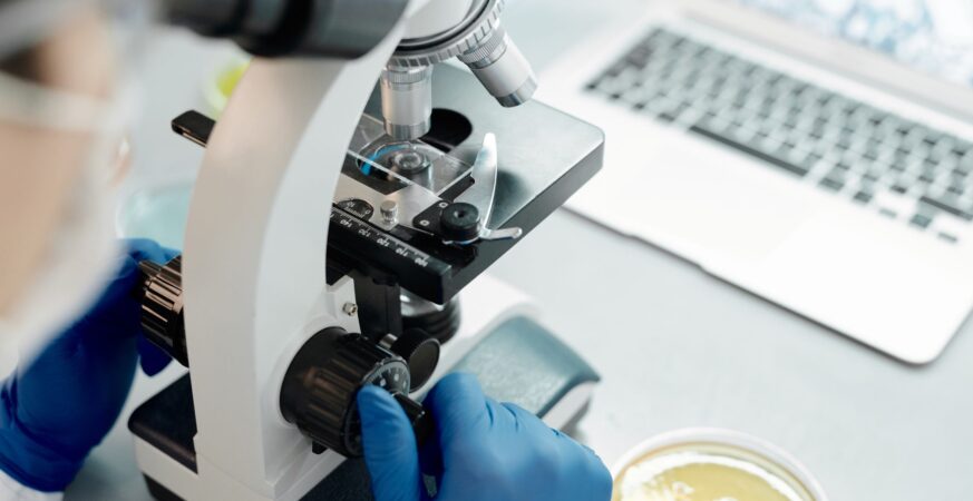 Life Unearthed shows microscope tech reshapes nature