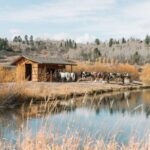 Dutton Ranch Season 2: Cast Hopes for Paramount+ Renewal