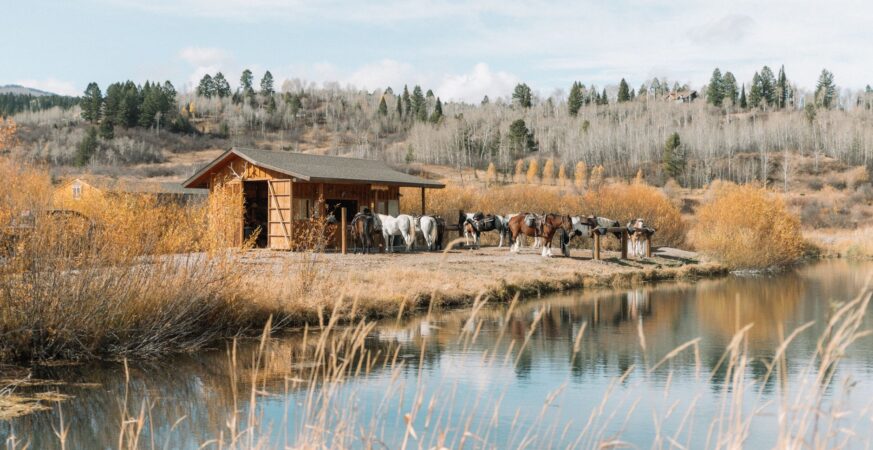 Dutton Ranch Season 2: Cast Hopes for Paramount+ Renewal