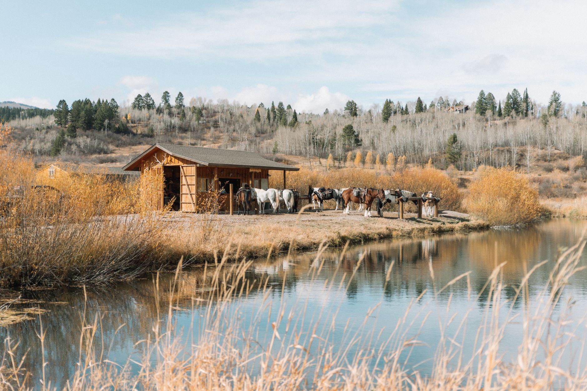 Dutton Ranch Season 2: Cast Hopes for Paramount+ Renewal