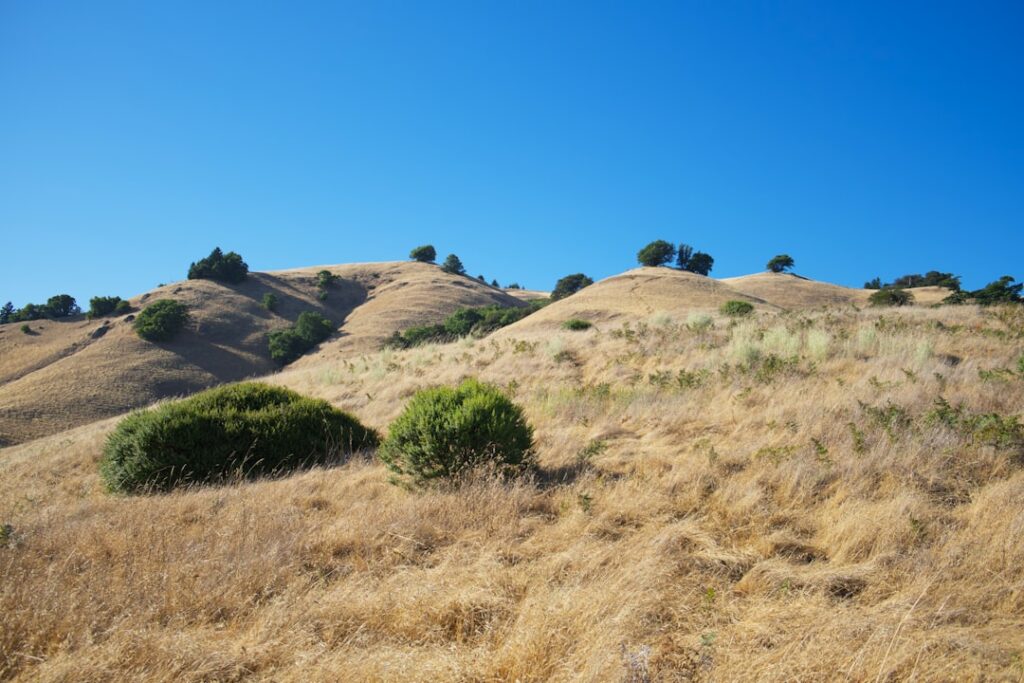 California's Manure Offsets Miss the Mark