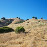 California’s Manure Offsets Miss the Mark