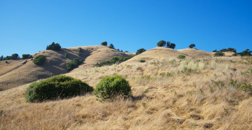 California's Manure Offsets Miss the Mark