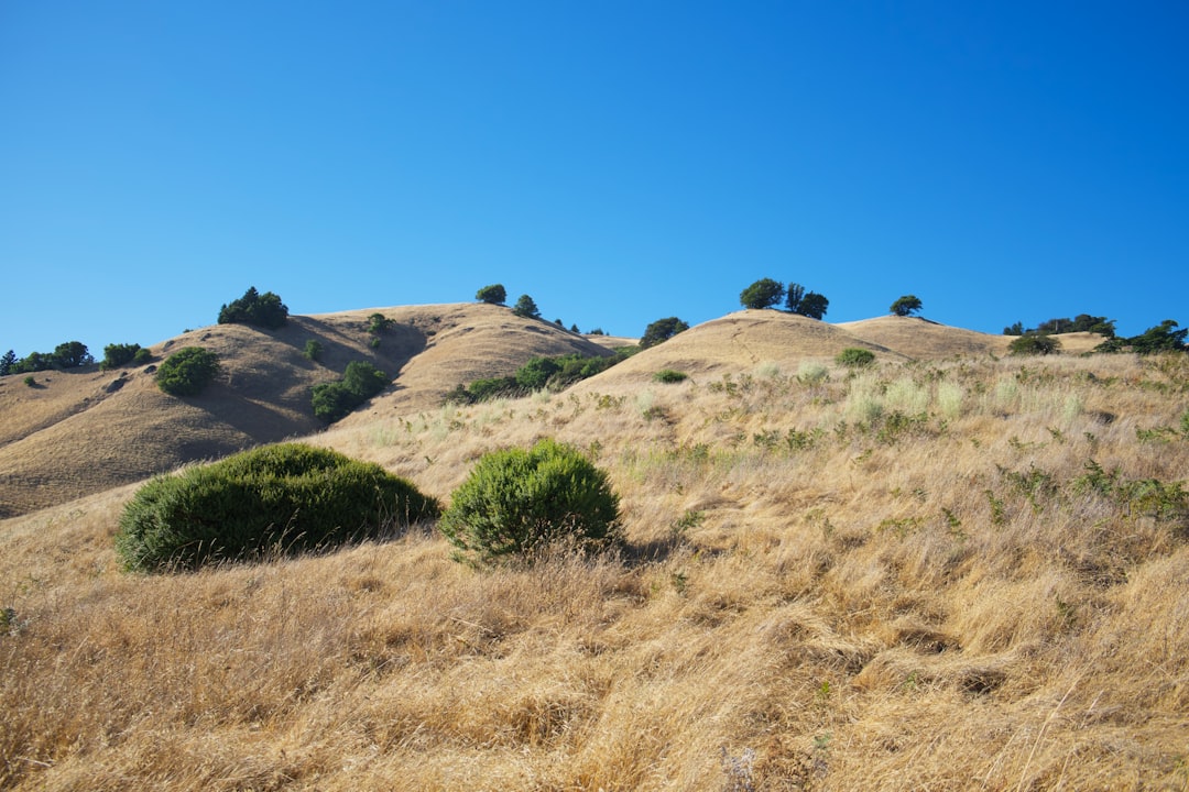 California's Manure Offsets Miss the Mark
