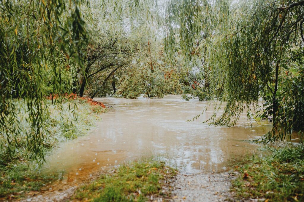 Open Source Zero‑Days Flood Ecosystem After LLM Fuzzing Reveal