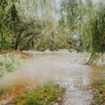 Open Source Zero‑Days Flood Ecosystem After LLM Fuzzing Reveal