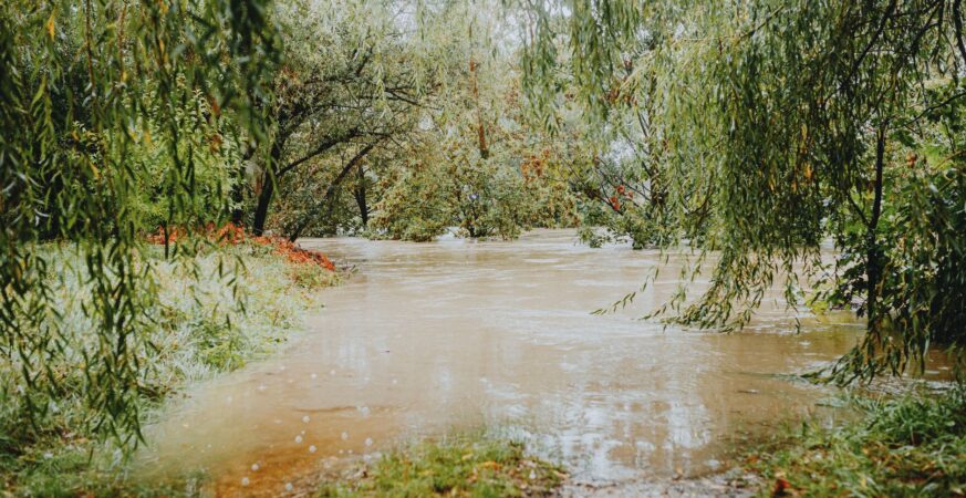 Open Source Zero‑Days Flood Ecosystem After LLM Fuzzing Reveal