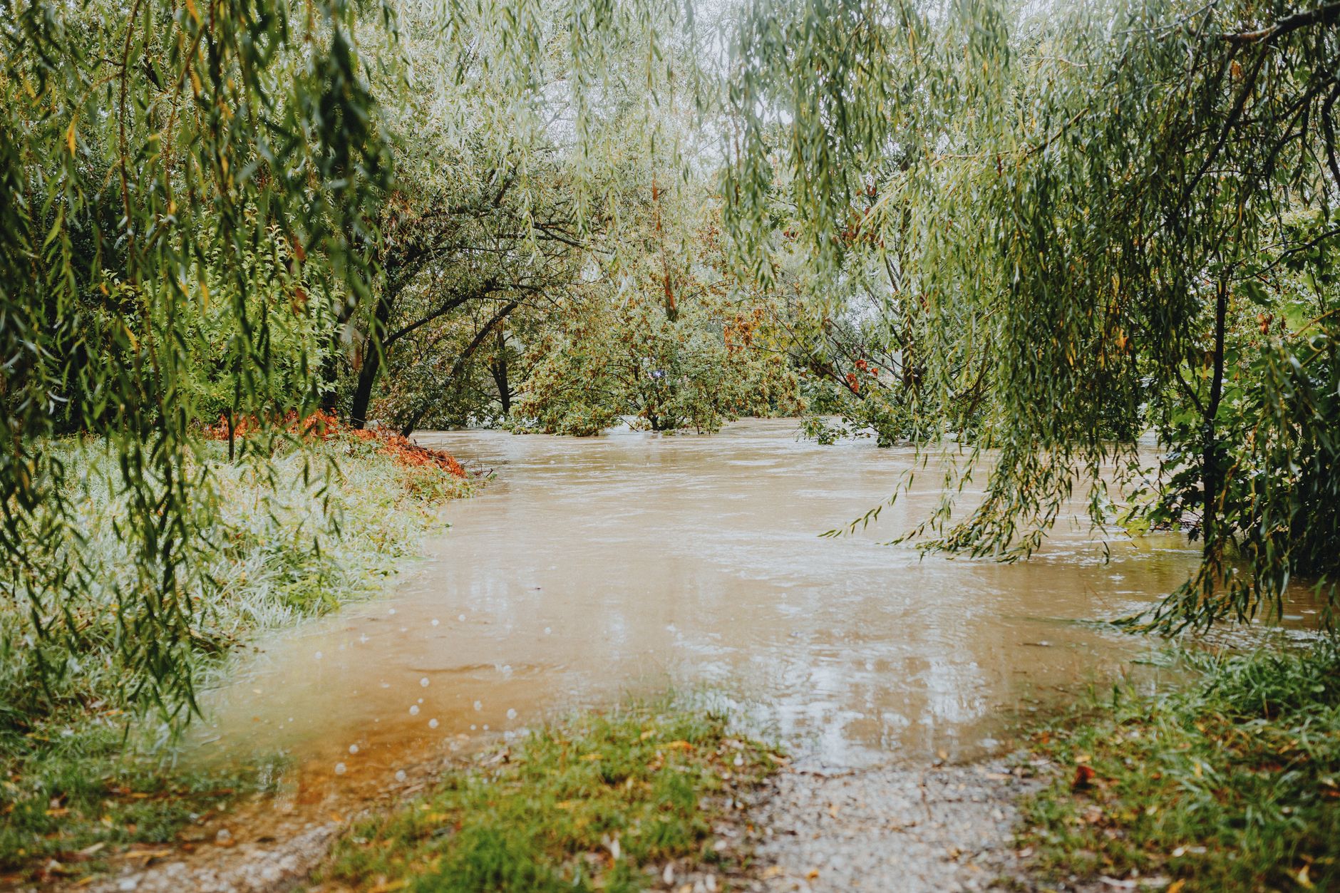 Open Source Zero‑Days Flood Ecosystem After LLM Fuzzing Reveal